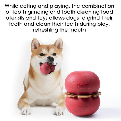 Tough Food Dispensing Dog Treat Ball