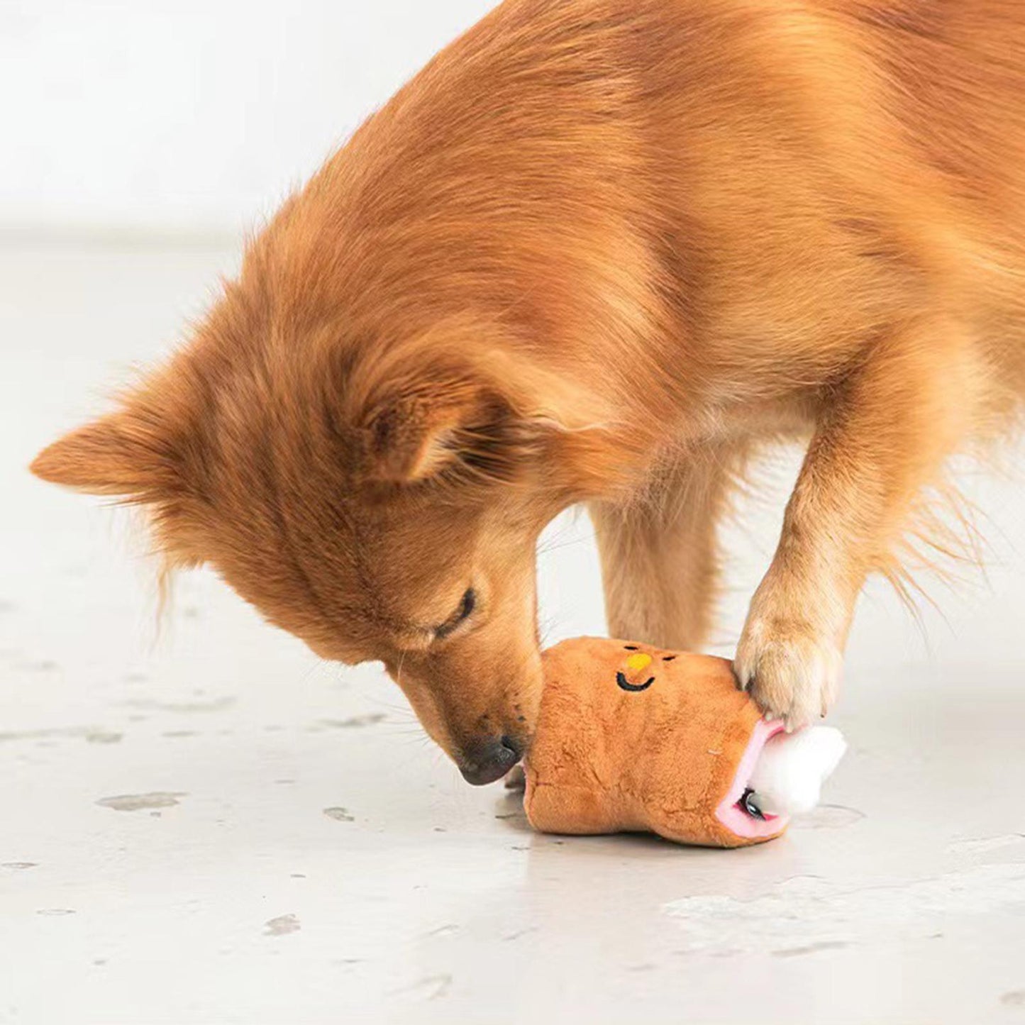 Pet Interactive Plush Squeaky Toys