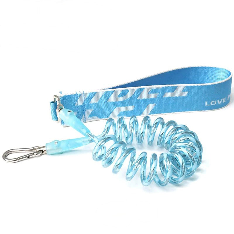 Strong 304 Steel Wire Dog Leash