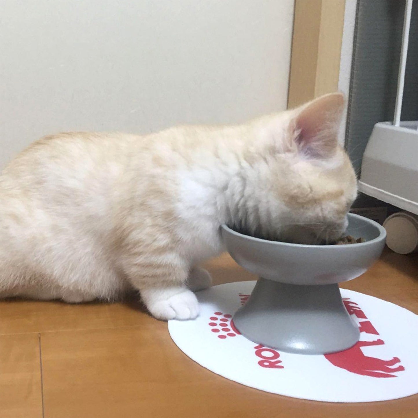 Ceramic Porcelain Raised Pets Bowl