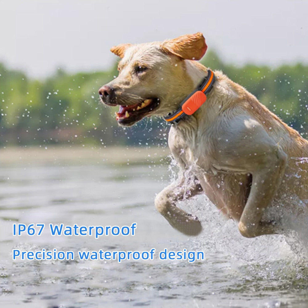 Waterproof 4G Pet GPS Tracker
