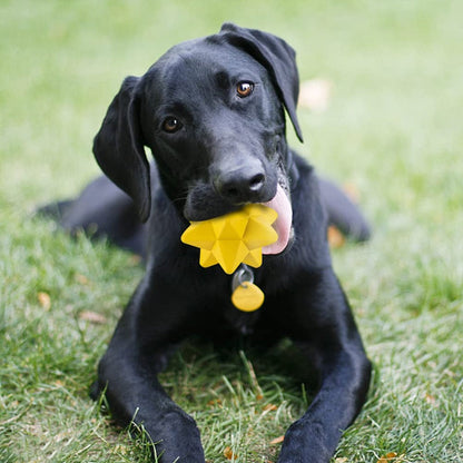 Tough Polyhedron Shape Dog Toys