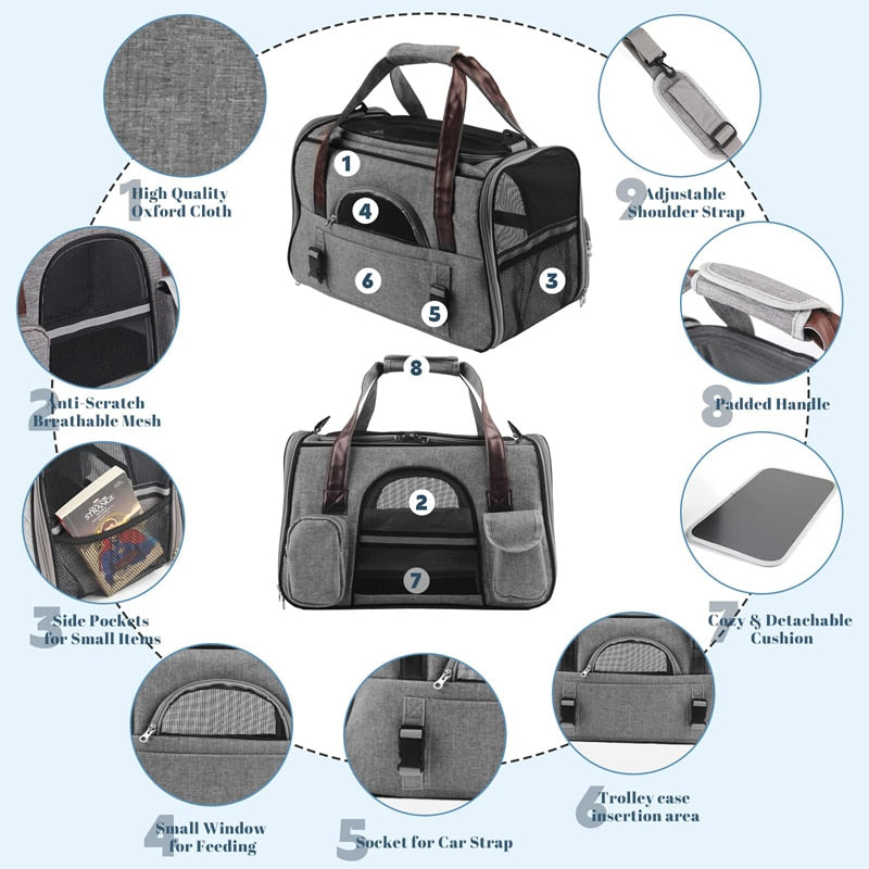 Collapsible Padded Handle Pet Carrier