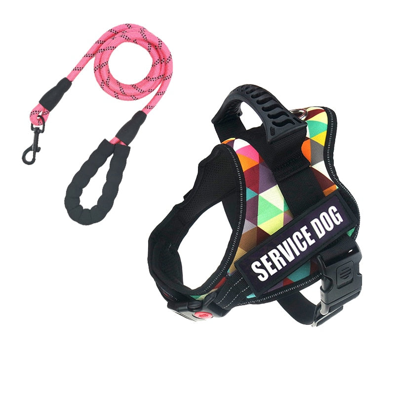 Rugged Nylon Handle Dog Harness