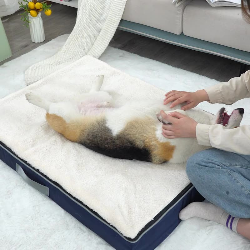 Premium Memory Foam Dog Bed