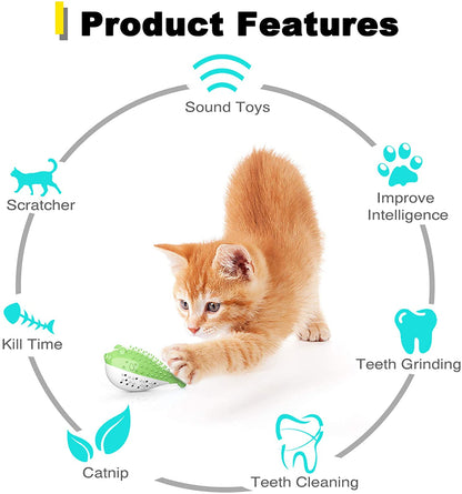 Interactive Cat Toothbrush Chew Toy