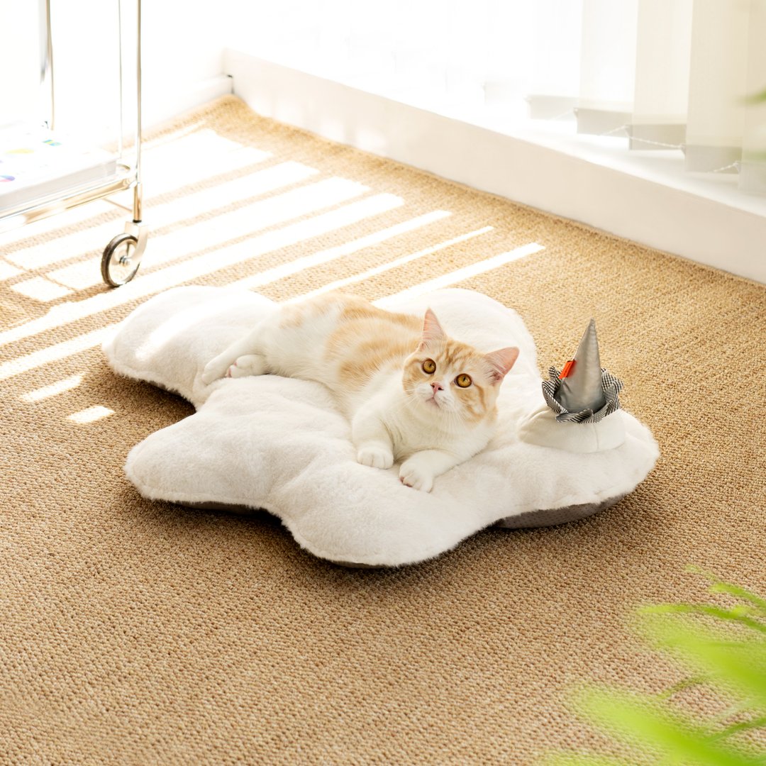 Super Soft & Smooth Pets Mats