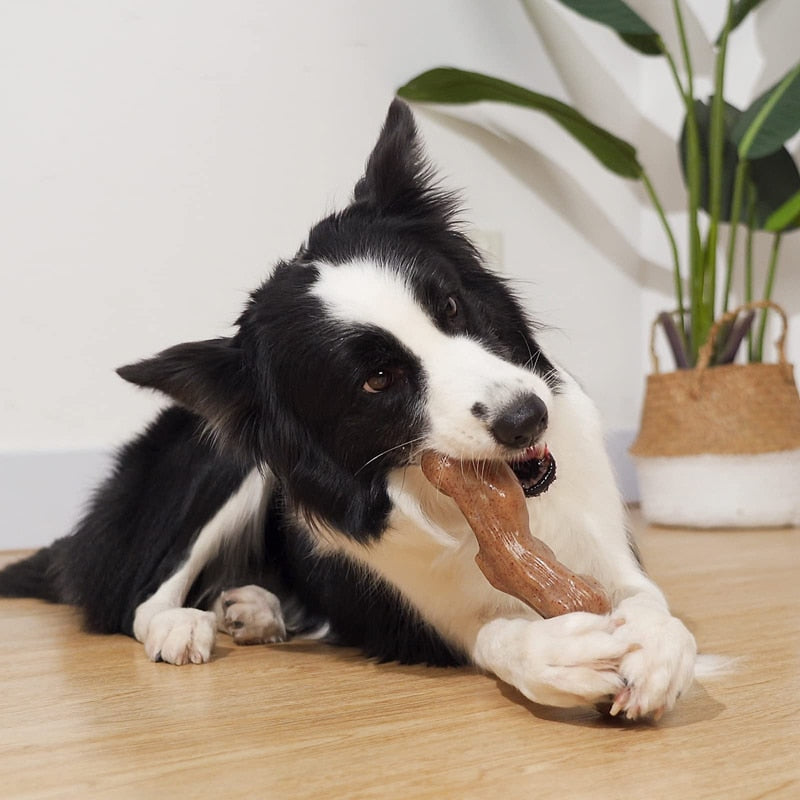 Beef Flavor Wood Stick Dog Toy