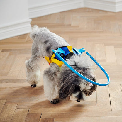 Anti Collision Ring Blind Dog Harness