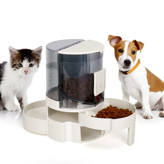 2 In 1 Eco Friendly Large Capacity Dog Feeder