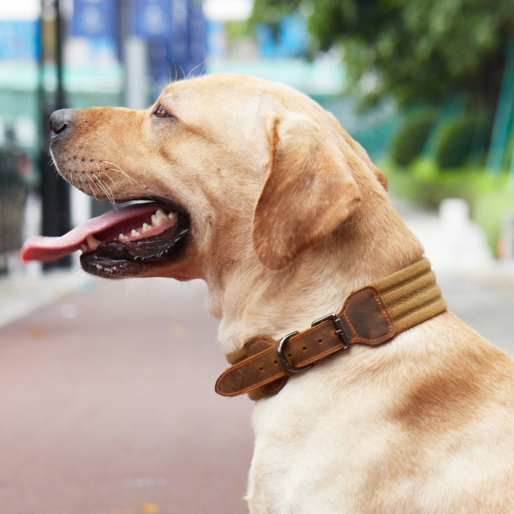 Leather Heavy Duty Tactical Dog Collars