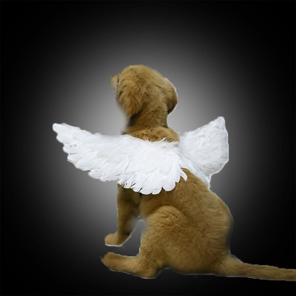 Halloween White Angel Pets Costumes