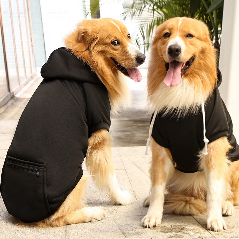 Trendy Canines Hoodie Sweatshirts