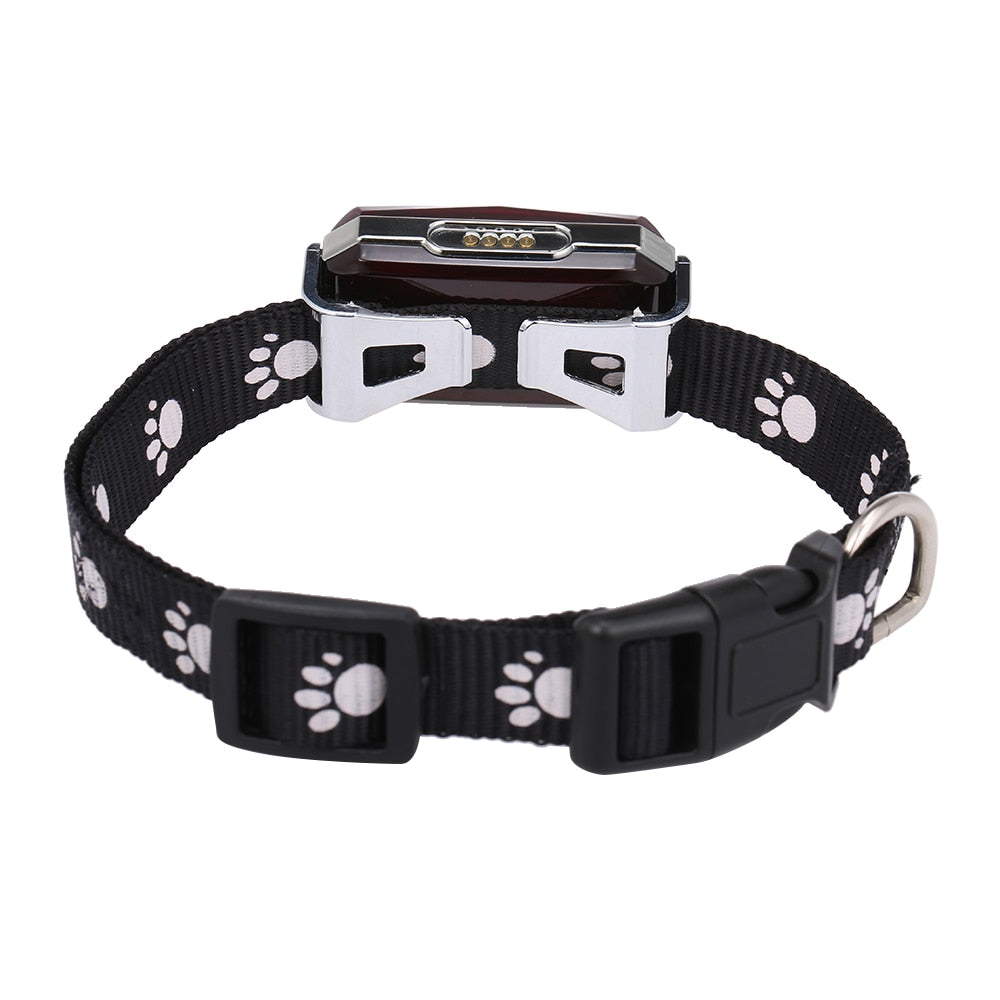Real Time Tracking Pet GPS Tracker