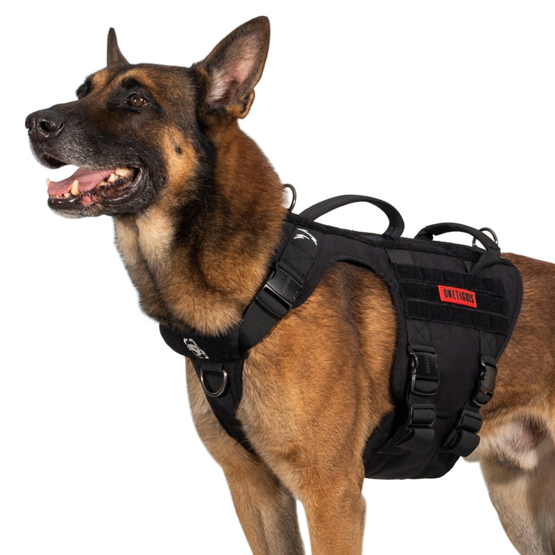 Versatile Full Metal Buckle Dog Harness