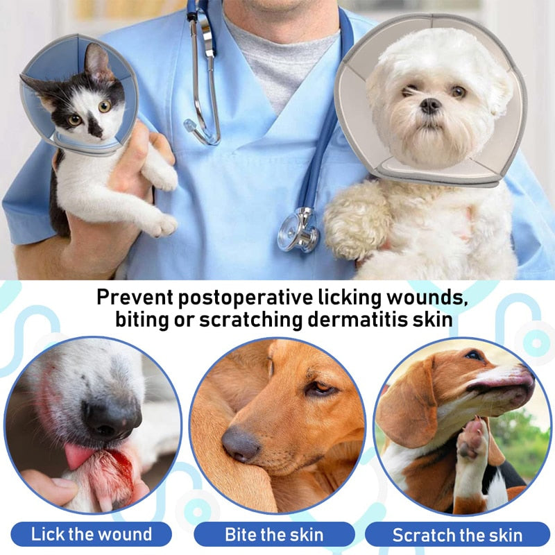 Soft Padding Recovery Dog Cone Collar