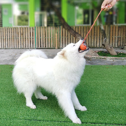 Durable Rope Ball Dog Toys