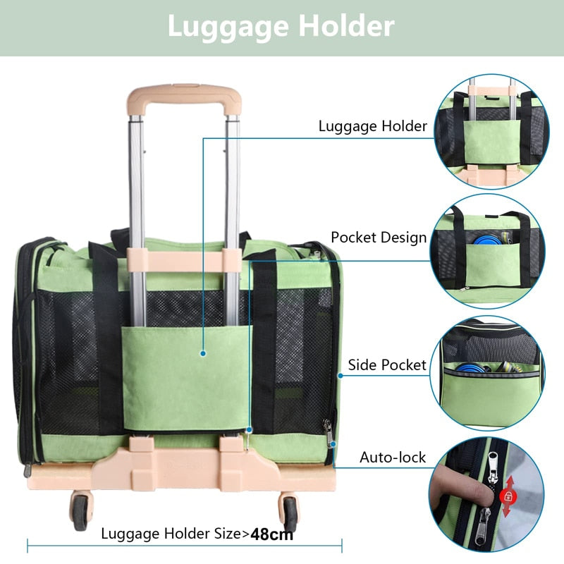 Sturdy Large Carrier For Dogs