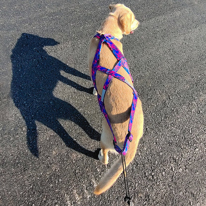 Reflective Big Dog Sledding Harness