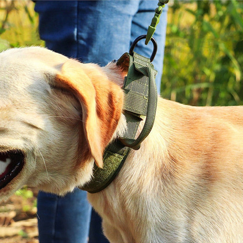 Reflective Tactical Military Dog Collar