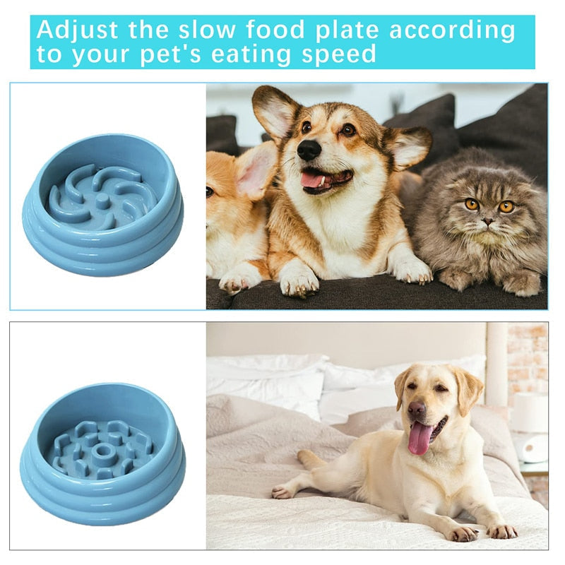 Bite Resistance Pet Slow Feeder Bowl