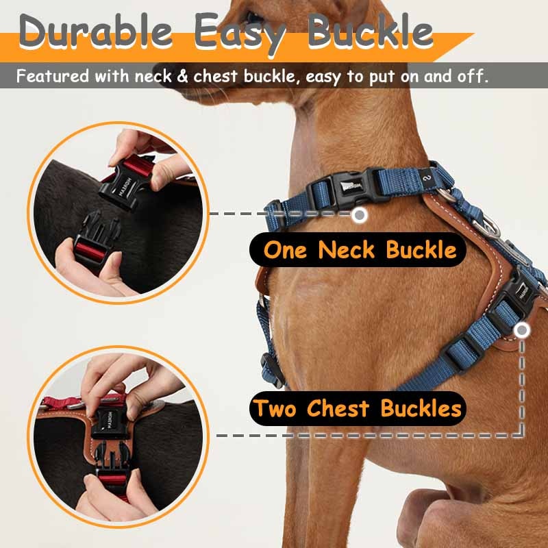 2 Leash Clips No Pull Dog Harness