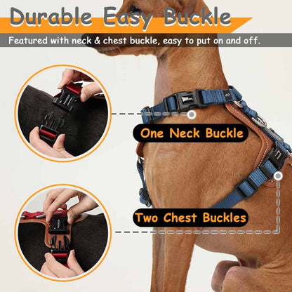 2 Leash Clips No Pull Dog Harness