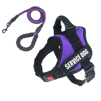 Rugged Nylon Handle Dog Harness