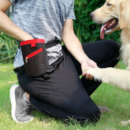 Large Capacity Pet Treat Training Bag
