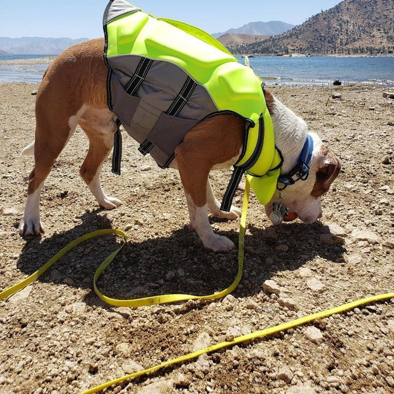 Waterproof Outdoor Long Dog Leash