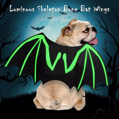 Luminous Bat Wings Pet Costumes