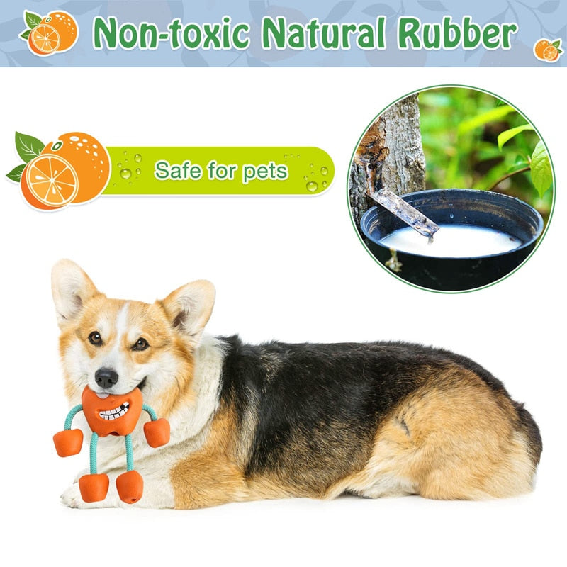 Orange Squeaky Dog Chew Toys