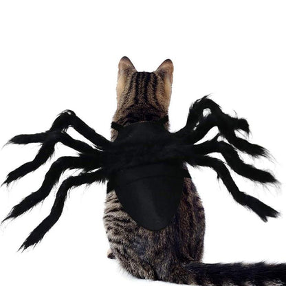 Halloween Black Spider Pets Costume