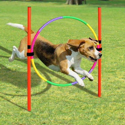 Outdoor Dog Jumping Loop Pole