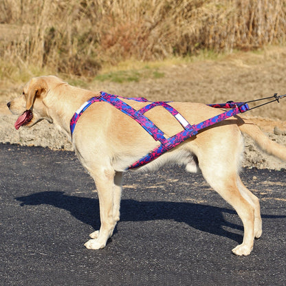 Reflective Big Dog Sledding Harness