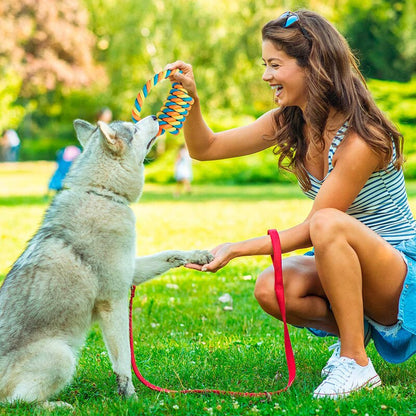 Bright Color Tug Of War Dog Toy