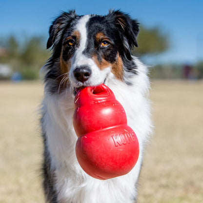 Bounzer Large Dog Toys