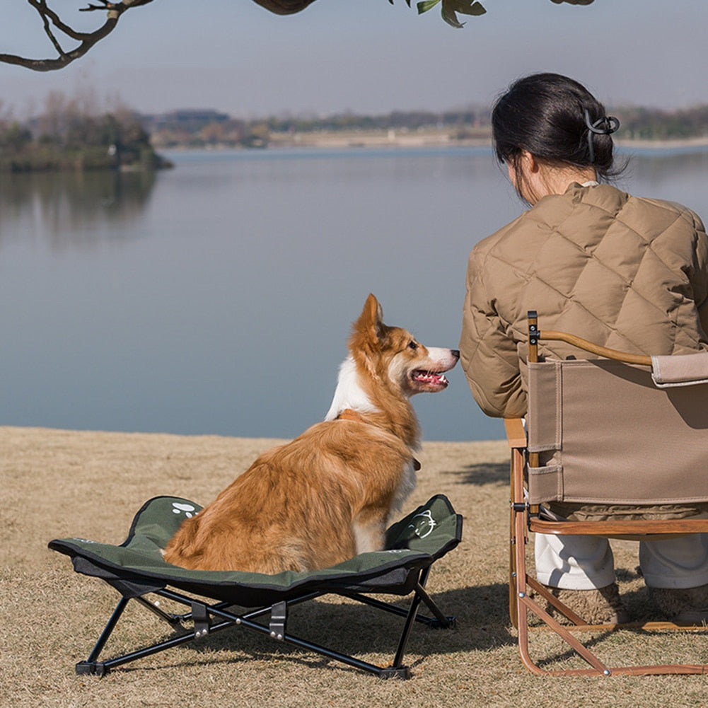 Outdoor Camping Dog Chair