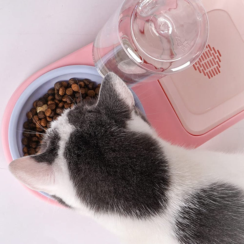 600ml Raised Double Pet Bowl