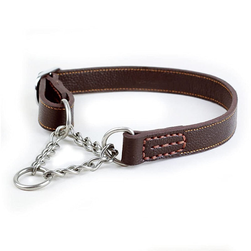 Martingale Leather Dog Collar