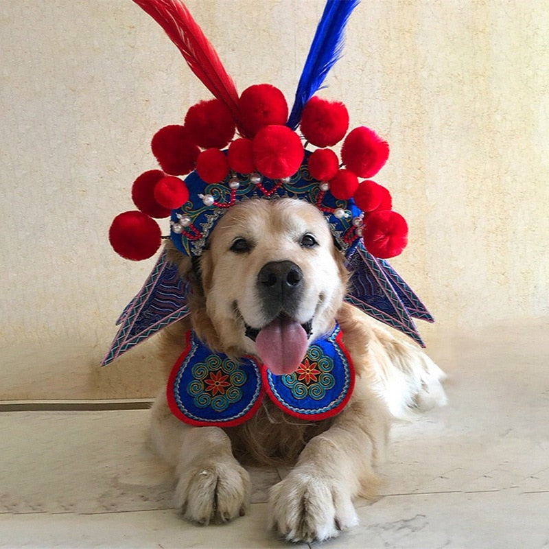 Funny Peking Opera Pets Costume