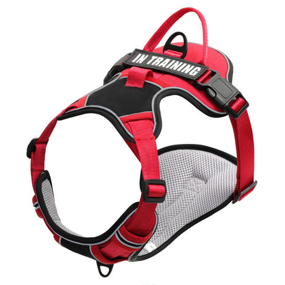 Outdoor Walking Breathable Dog Harness