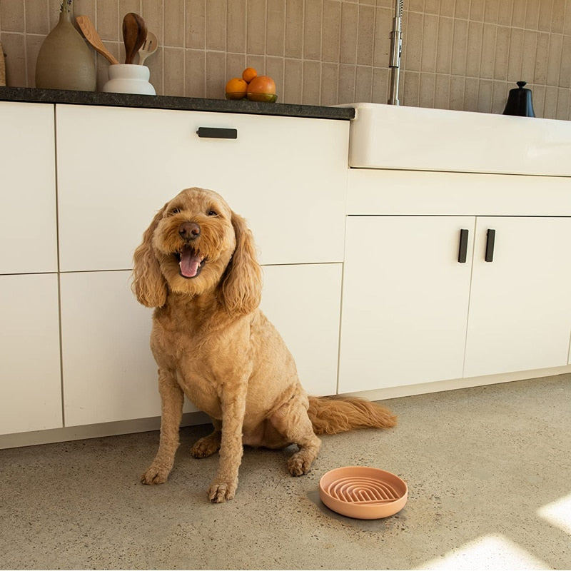 Healthy Eating Silicone Dog Puzzle Bowl