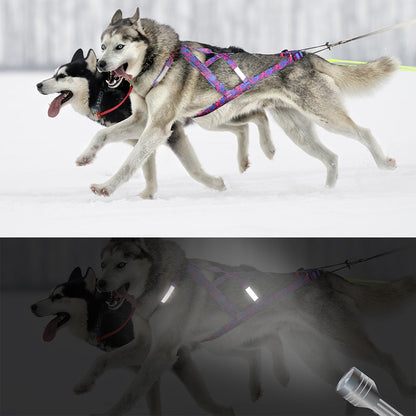 Reflective Big Dog Sledding Harness