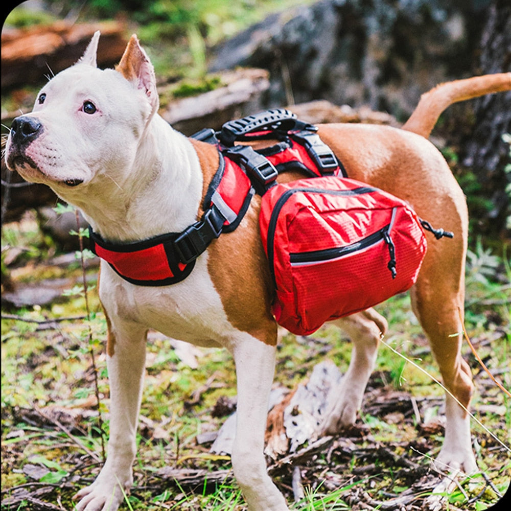 Removable Saddle Bag Dog Harness