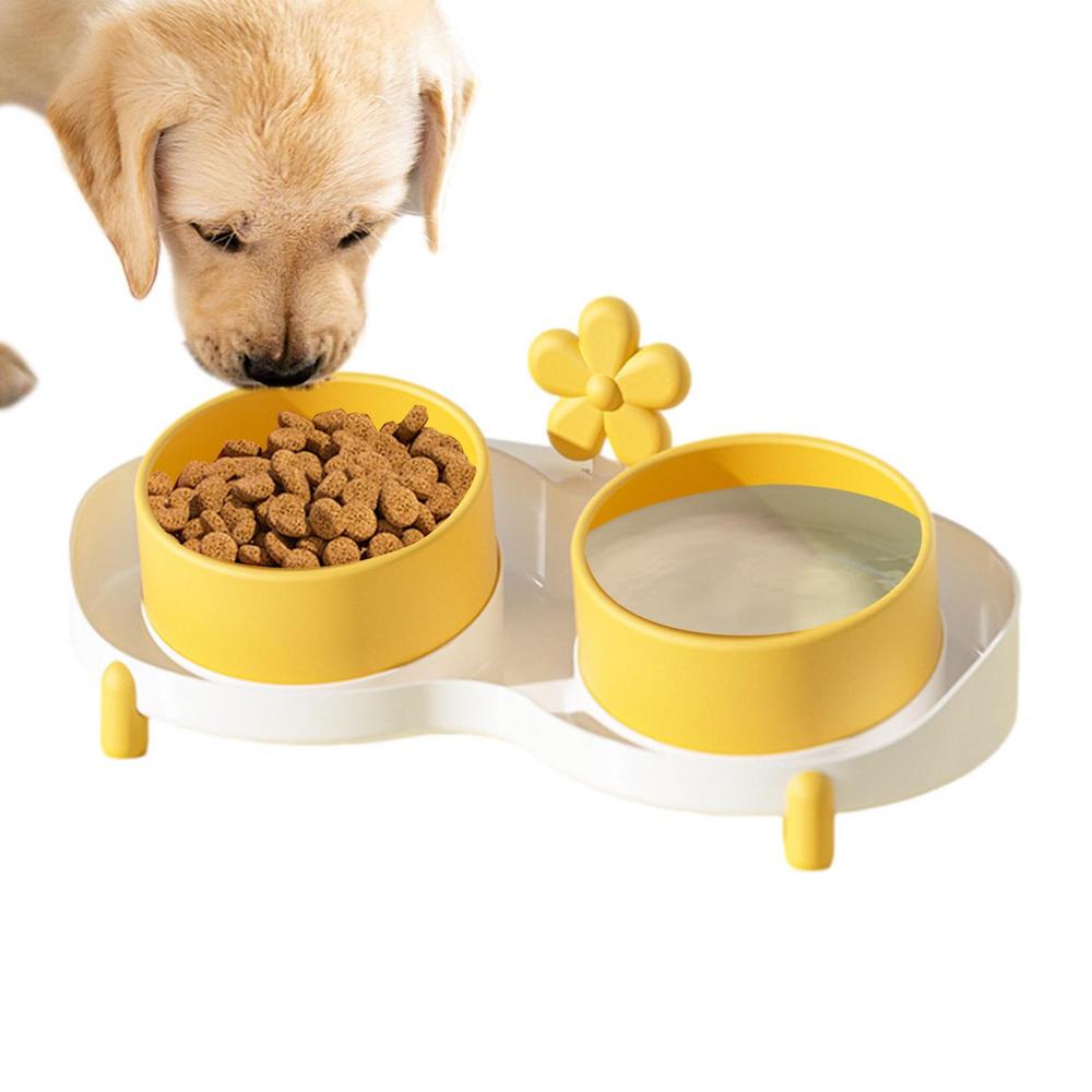 Ceramic Tilted Double Dog Bowls