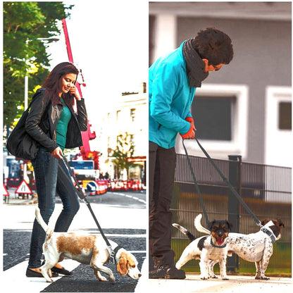 2 Hooks Waterproof Dog Leash