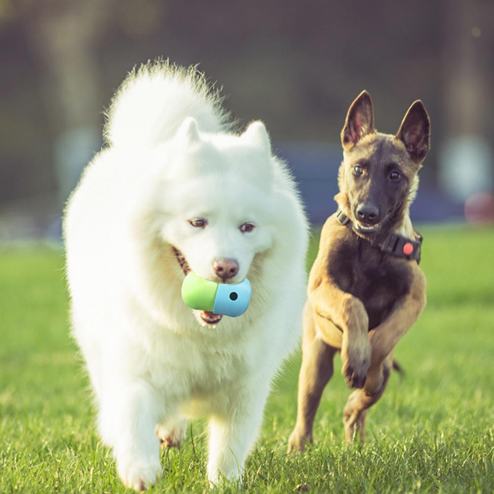 Interactive Silicone Ball Dog Toy