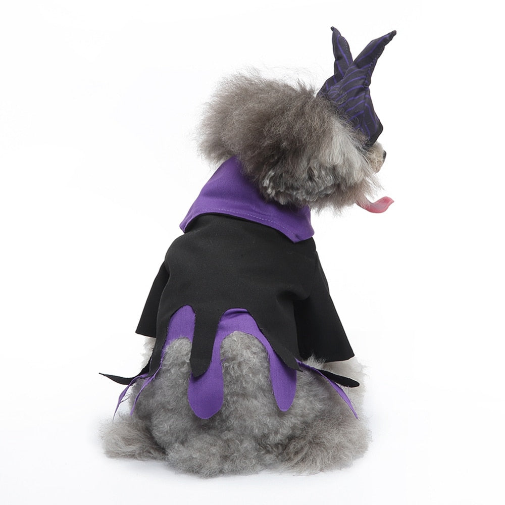 Halloween Cute Wizard Pets Costume