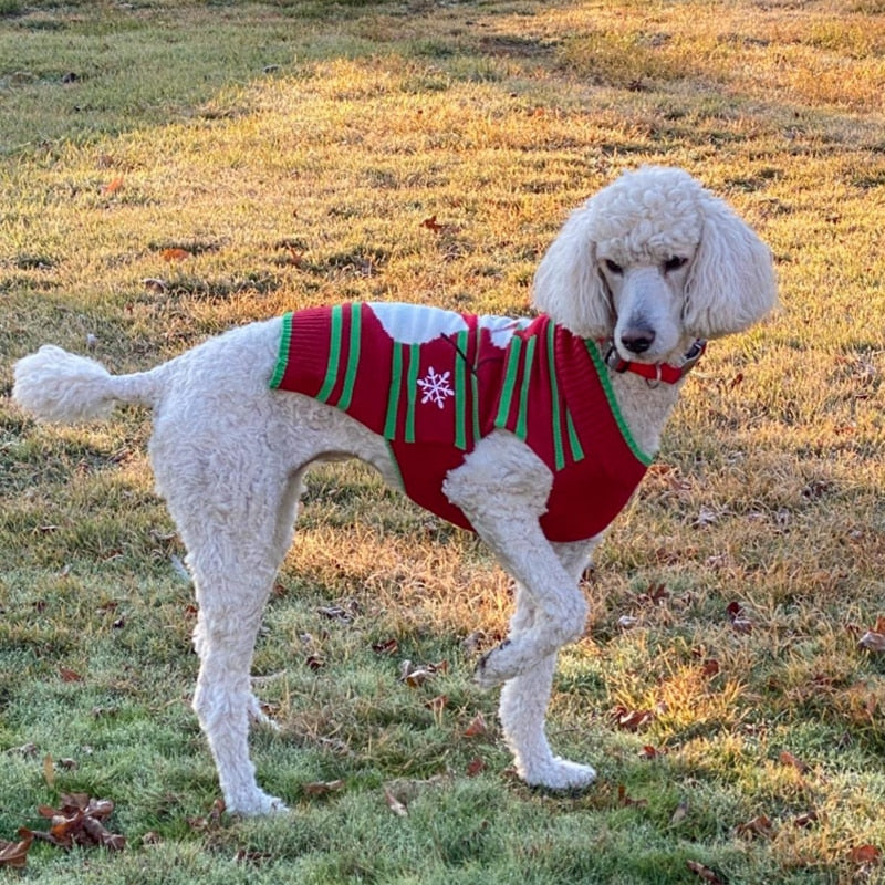 Christmas Snowman Dog Sweaters